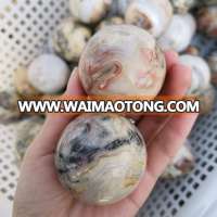 Crazy Agate Sphere 5-6cm Diameter Crazy Agate Balls, Various Kinds of Crystal Stone Spheres