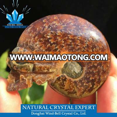 Cheap Wholesale Natural conch fossil specimen crystal skull Hand Carved Polished Crystal Skull